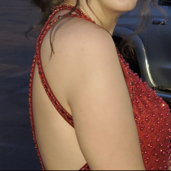 Gorgeous Ballgown/Prom. All about the details. - Picture 9 of 12